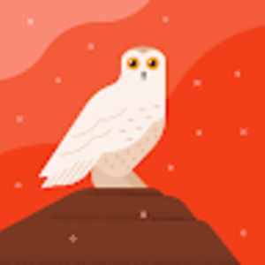 Meet your Posher, Yahil